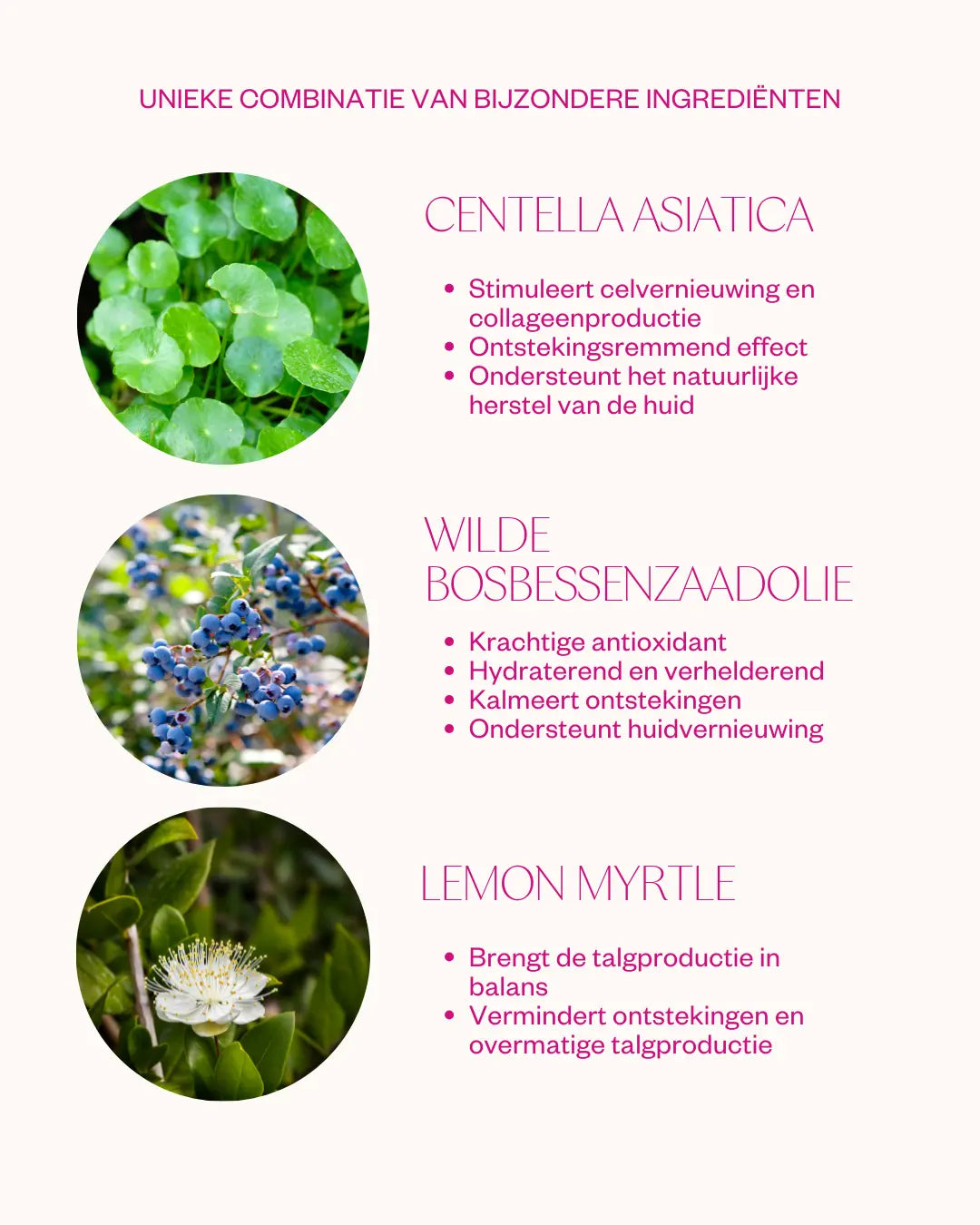 Crème hydratante à la myrtille - Flow Cosmetics