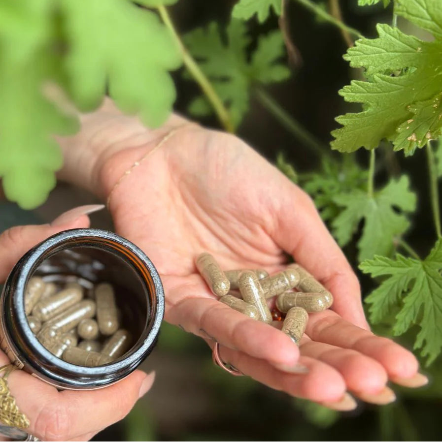 Ainima Mundi PARA-HERB DEFENSE Capsules