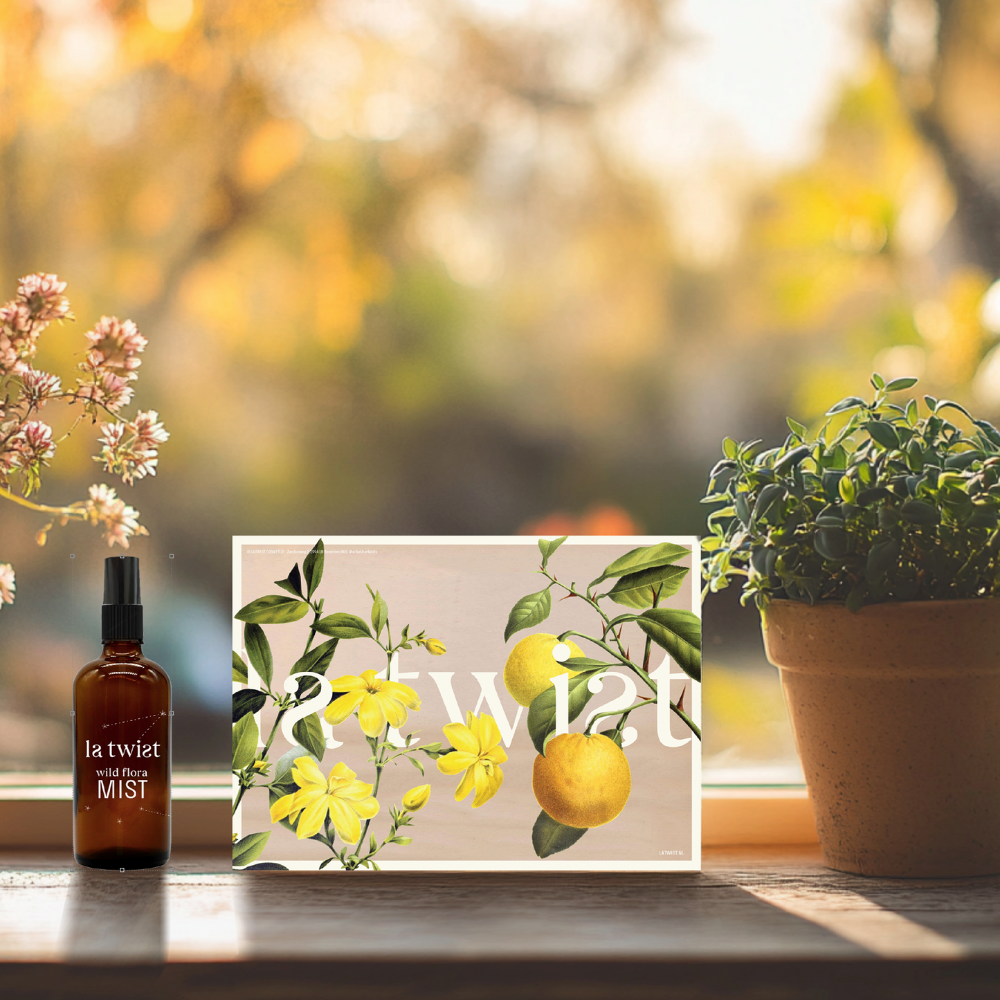 Brume de flore sauvage