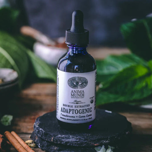 De kracht van bitter zit in zijn vermogen om het bloed te zuiveren, de absorptie te verhogen, de enzymatische kracht te vergroten, de darmflora te ondersteunen en het microbioom te stimuleren.