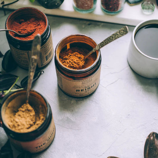 Deze paddenstoelen, ook wel bekend als Ling Zhi in de traditionele Chinese geneeskunde, zijn sterk ontstekingsremmend en verbonden met een lang leven, een betere immuunfunctie en mentale helderheid