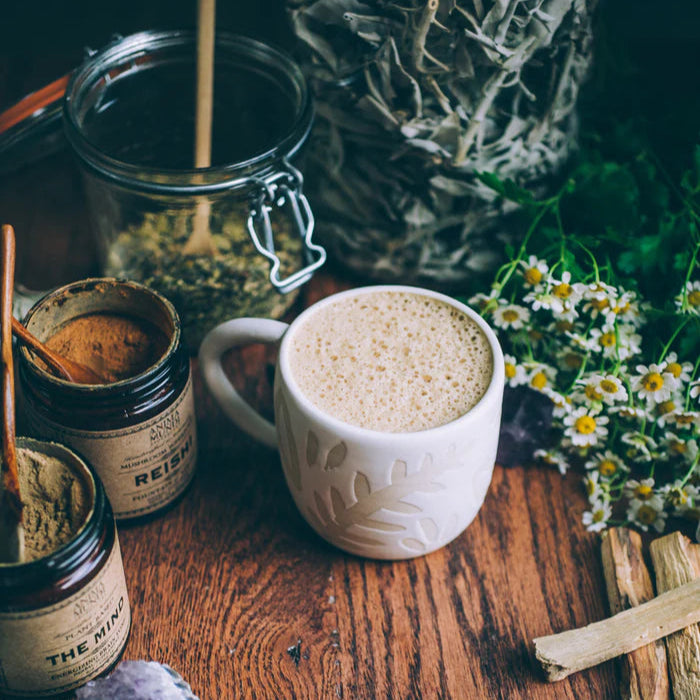 Reishi is een "immunomodulator", wat betekent dat het kan helpen de hormonale balans te herstellen, het lichaam terug te brengen naar de homeostase en de activiteit van het immuunsysteem te reguleren.