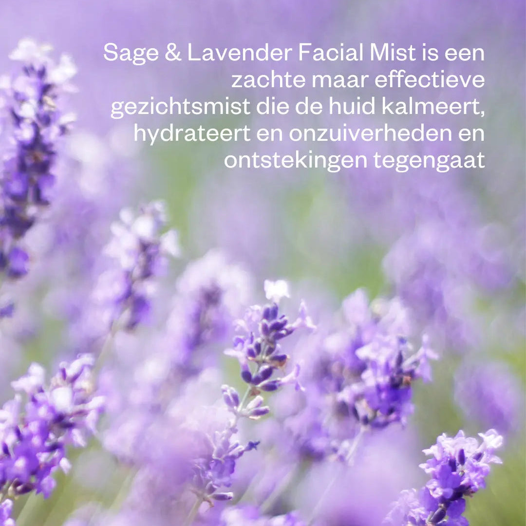 Lavendel-bloemen-natuurlijke-skincare-rustgevend.jpg