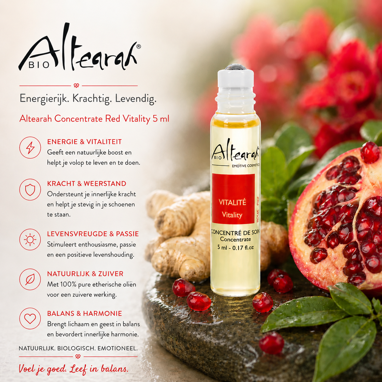 Altearah Red Vitality concentrate 5 ml roller voor directe energie, kracht, vitaliteit en activering van lichaam en geest
