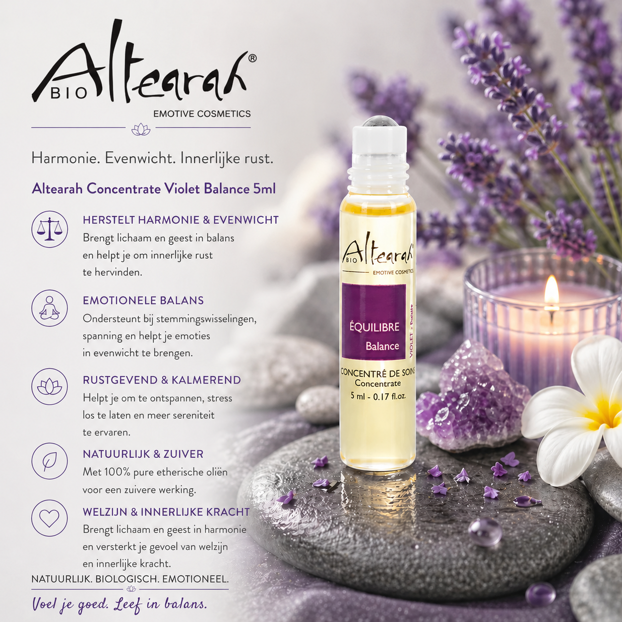Altearah Violet Balance concentrate 5 ml roller ondersteunt emotionele balans, innerlijke rust en harmonie met natuurlijke essentiële oliën