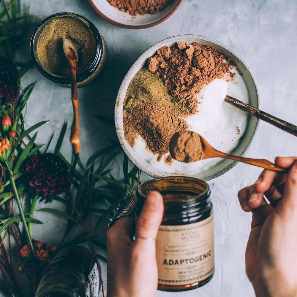 Adaptogenic Resilience superfood poeder van Anima Mundi met cacao en paddenstoelen voor dagelijkse veerkracht