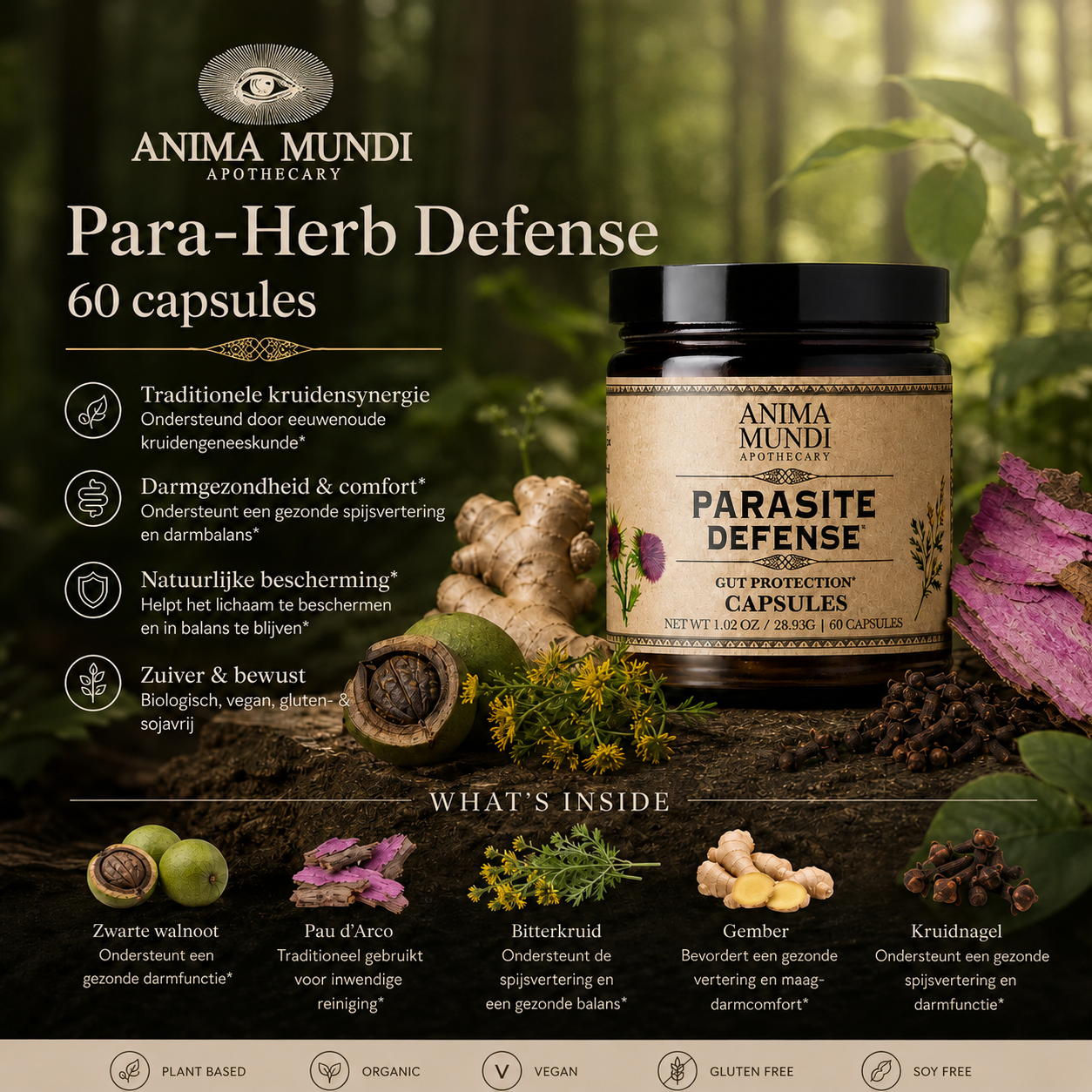 Anima Mundi Para Herb Defense met kruiden voor darmbalans en spijsvertering