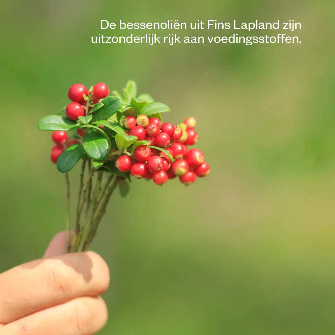 Bessenolie uit Fins Lapland, uitzonderlijk rijk aan voedingsstoffen.