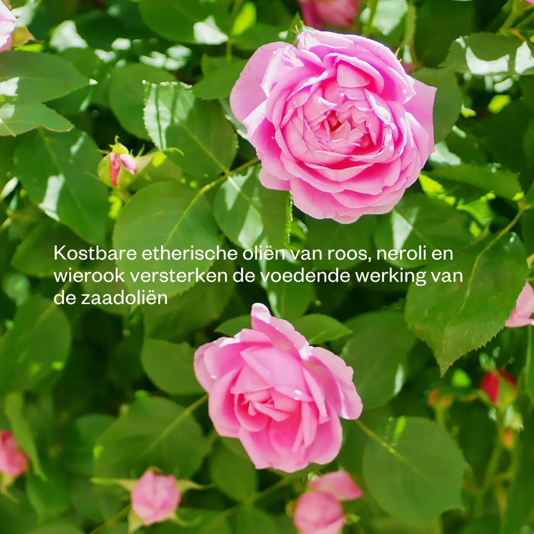 Arctic Beauty Oil-Revitalizing Serum-Flow Cosmetics