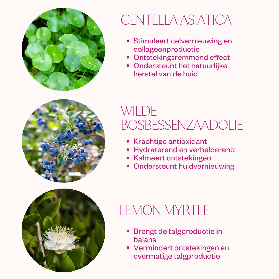Flow Cosmetics Bilberry Centella Cream zachte textuur trekt snel