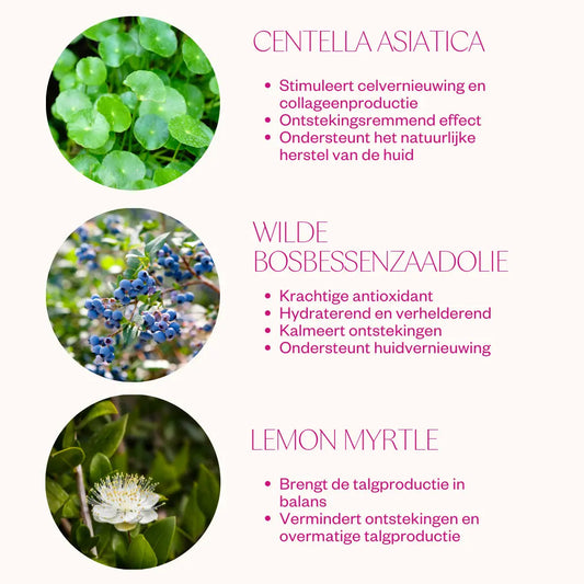 Flow Cosmetics Bilberry Centella Cream soft texture absorbs quickly