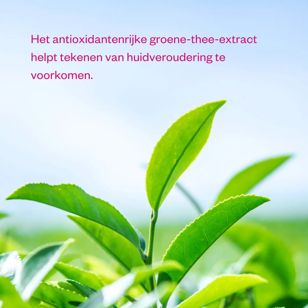 Green Tea & Peptide Eye Cream-Flow Cosmetics