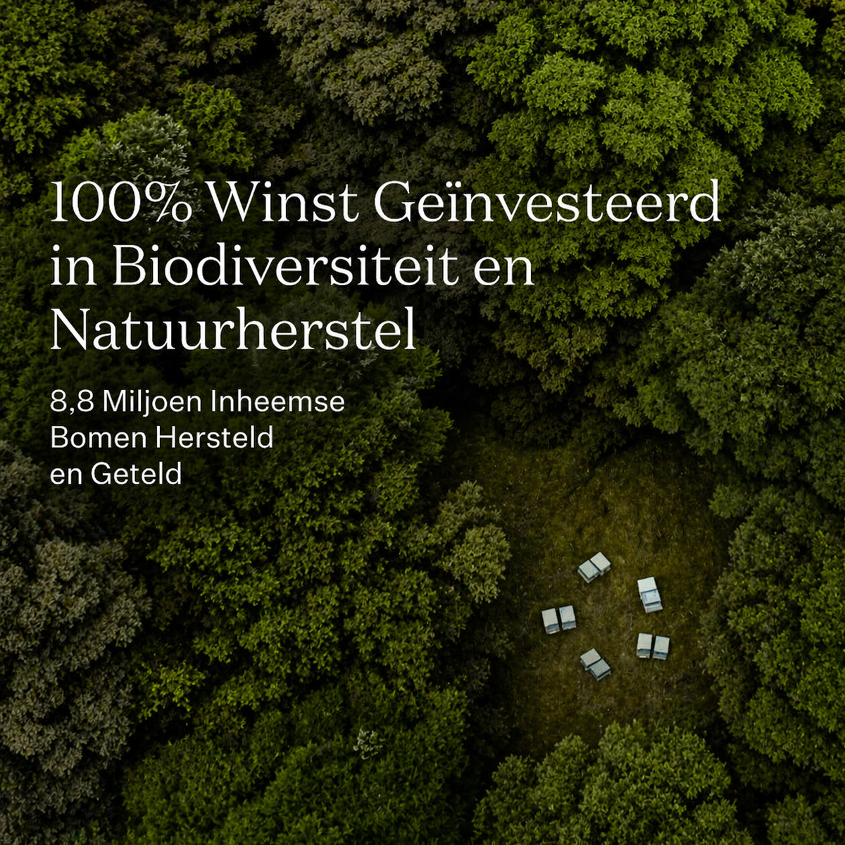 Manuka honing duurzaam geproduceerd biodiversiteit natuurherstel Nieuw-Zeeland