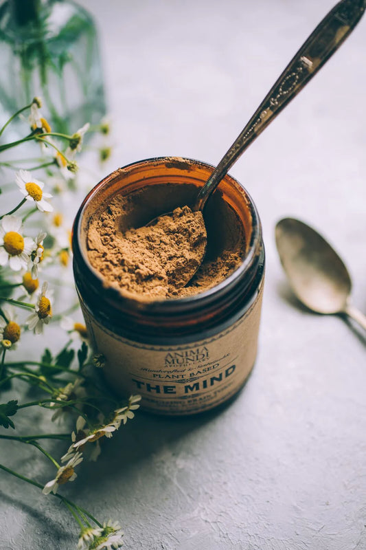 Deze kruiden worden al duizenden jaren gerespecteerd als meester-tonics voor de geest in vele helende tradities, zoals Ayurvedische, Chinese en regenwoudtribale geneeskunde.