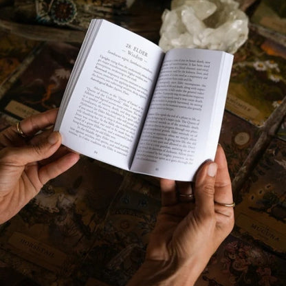 The guide covers the traditional medicinal uses, ceremonial practices, spiritual messages, animal guides and symbolic meanings of important herbs, trees, flowers and mushrooms.