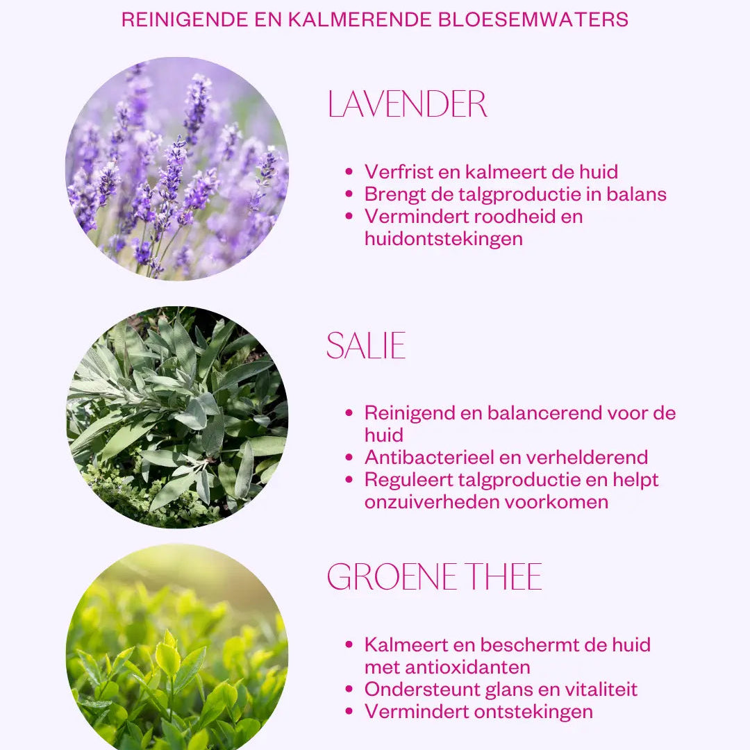 Lavendel salie groene thee huidverzorging voordelen kalmerend antibacterieel talg regulerend natuurlijke skincare