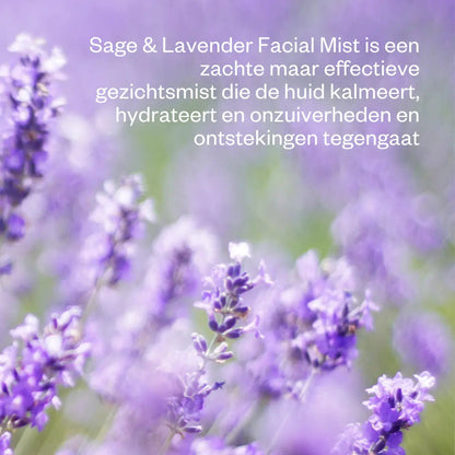 Lavendel-bloemen-natuurlijke-skincare-rustgevend.jpg